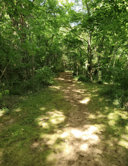 Chuck Crume Nature Park 5