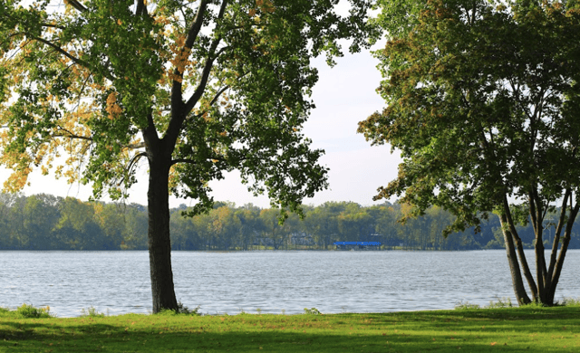 Screen Shot 2021-07-30 at 11.32.24 AM