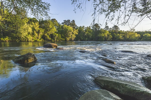 Saluda River 2