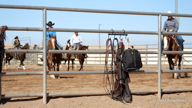 Horseshoe Park & Equestrian Centre 5