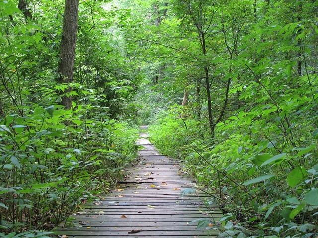 John Bryan State Park 1