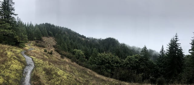 Cummins Creek Trail