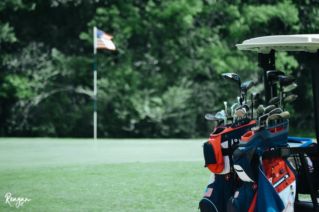 The Pines at North Park 6