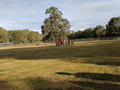 diamond sports grass fields