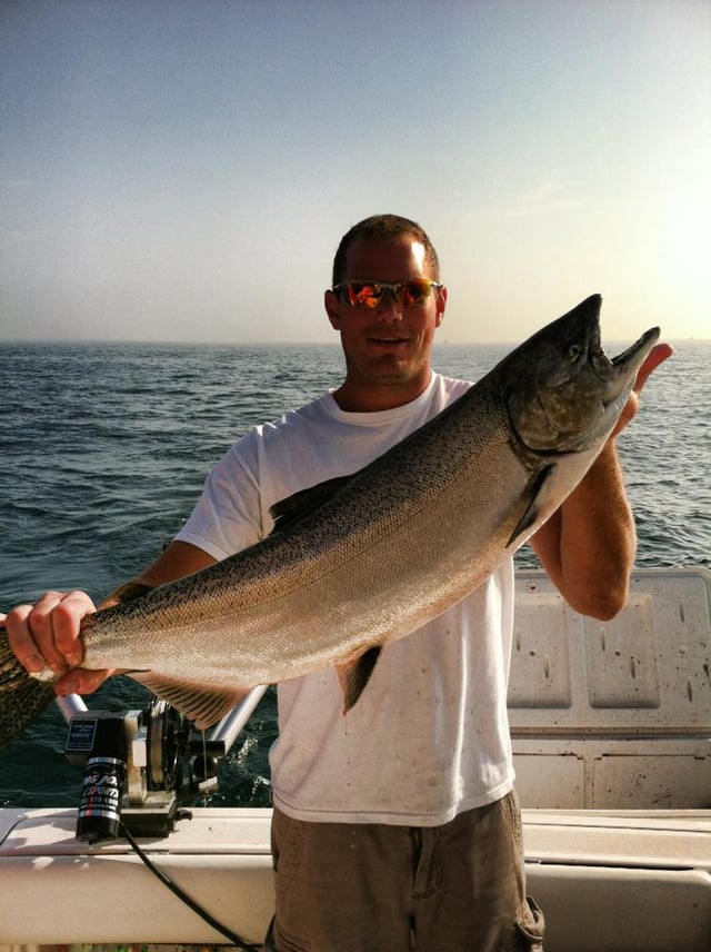 Sufishient Charters 5