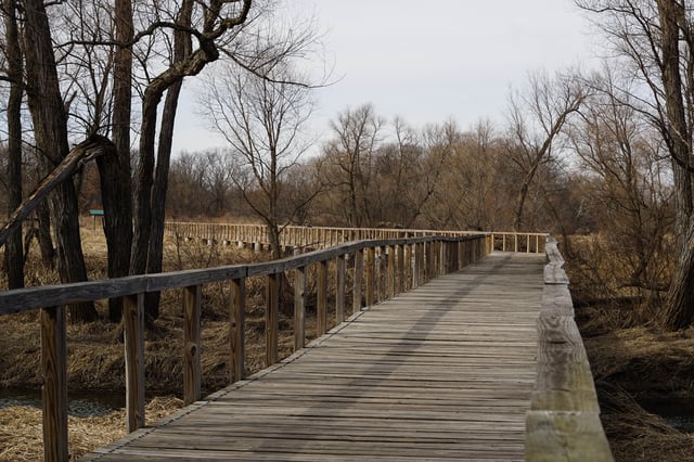 Prairie Springs Park 4