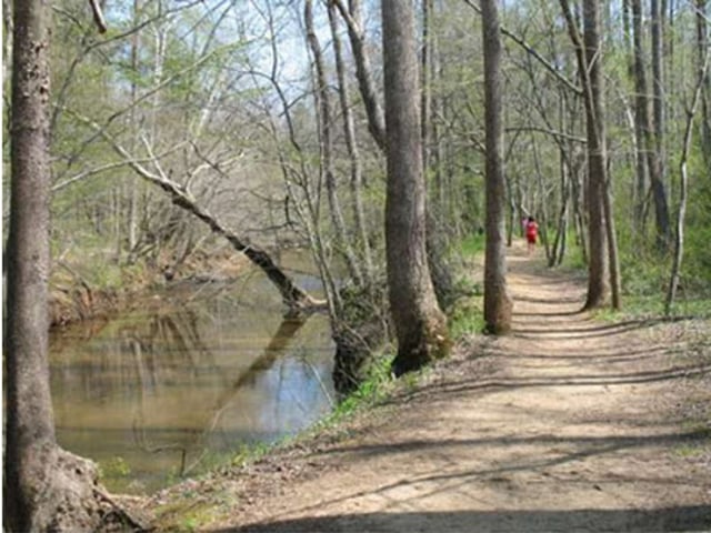 Waid Park2