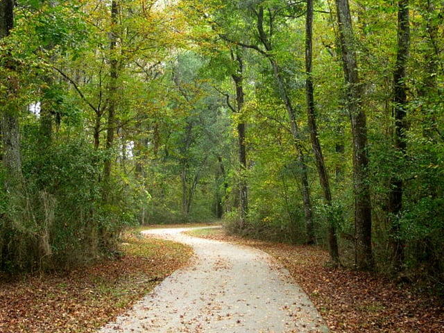 Gainesville - Hawthorne Trail State Park8