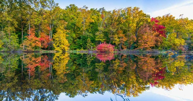 watchung reservation