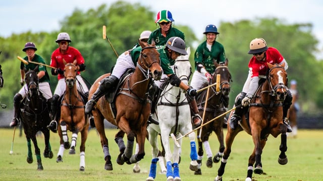 Sarasota Polo Club