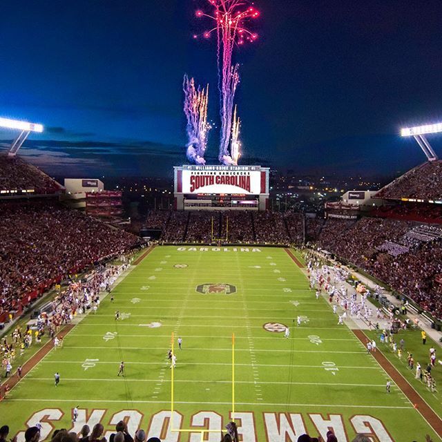 William brice stadium aerial view