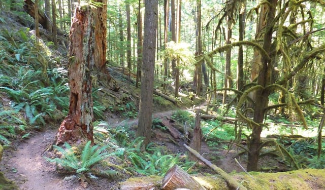 King-Castle Trail 2