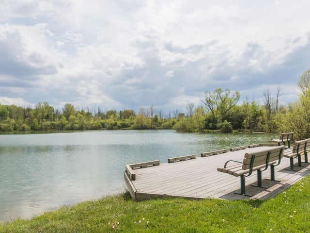 Hawthorn Pond Natural Area3