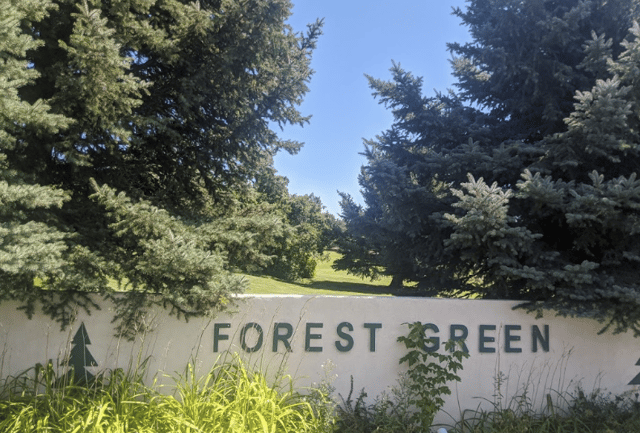 Beus Pond:Forest Green Park