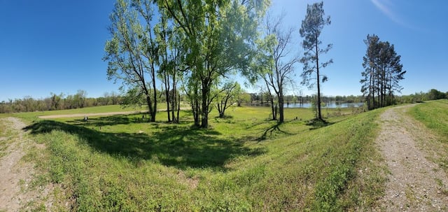 Lazarre Park4