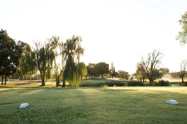 14468441_1192338564121989_7168079159857412453_o