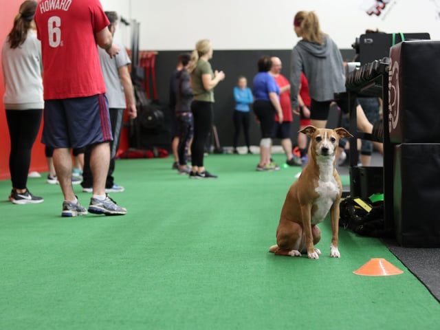 O.B. Training & Sports Performance7