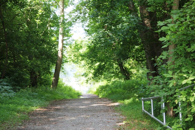trail
