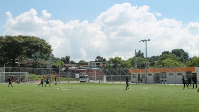 AnyConv.com__Horse 5