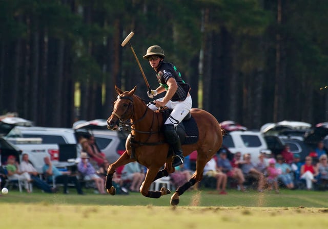 new bridge polo club