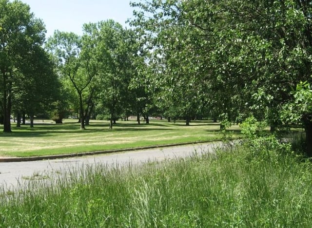 Silver Creek 2