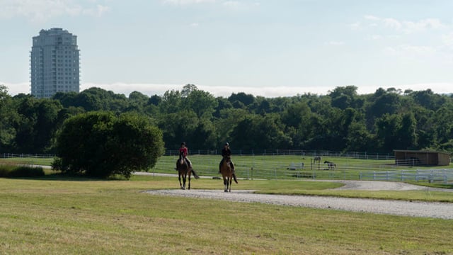 Nora Harris Equestrian3