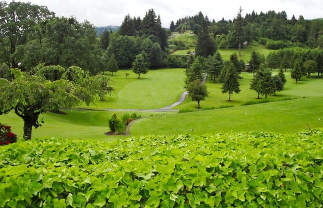Wildwood Golf Course