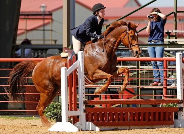 Dallas Equestrian Center3