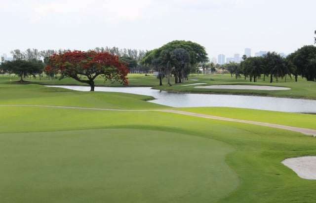 melreese golf course at international links