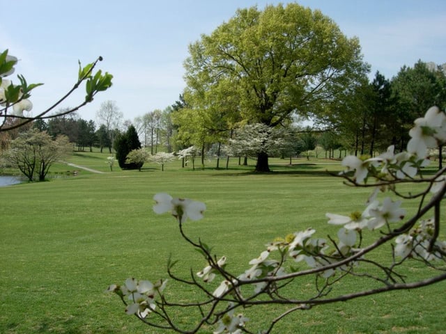Dogwood Hills Golf Club & Gardens3