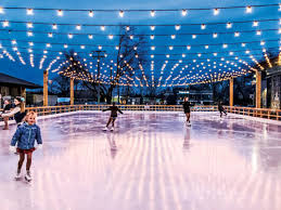 WinterSkate 2