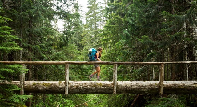 Olympic National Park 4