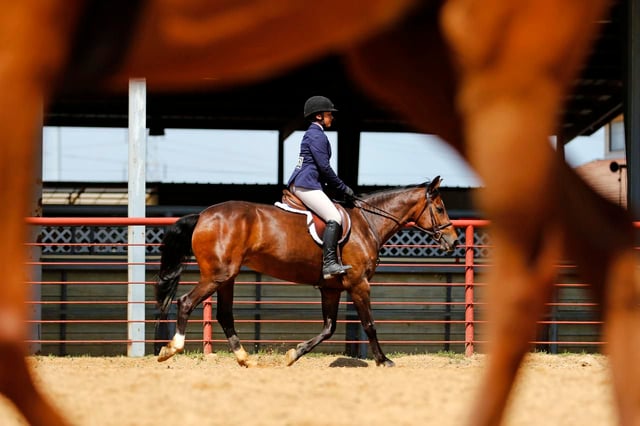 Dallas Equestrian Center2