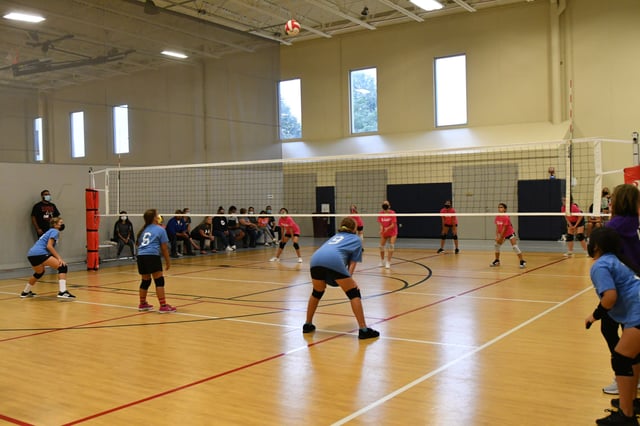 romeoville volleyball pictures.jpeg