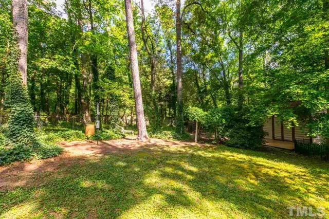 Whippoorwill 3