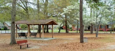 Lucas Park2