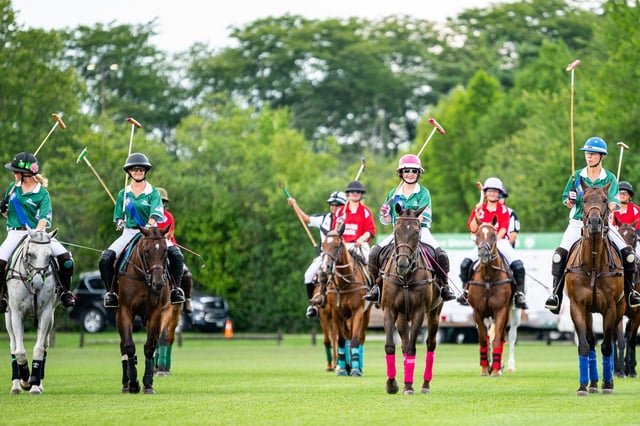 Polo 4