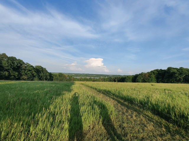 Clay Cliffs Natural Area 5