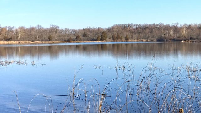 Portman Nature Preserve 3