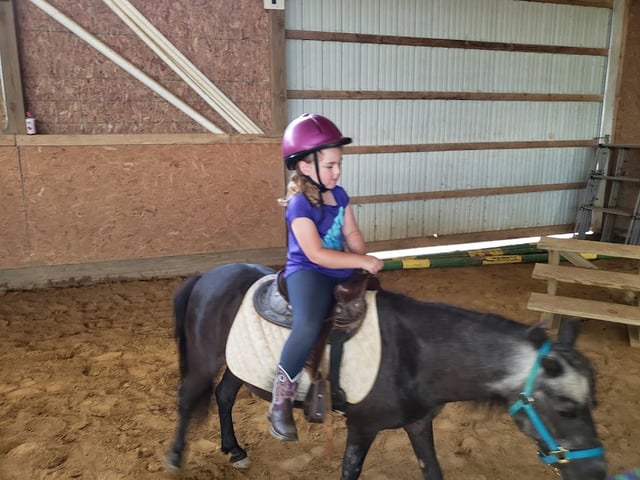 Equine Differences 3