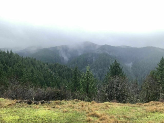 Cummins Creek Trail7