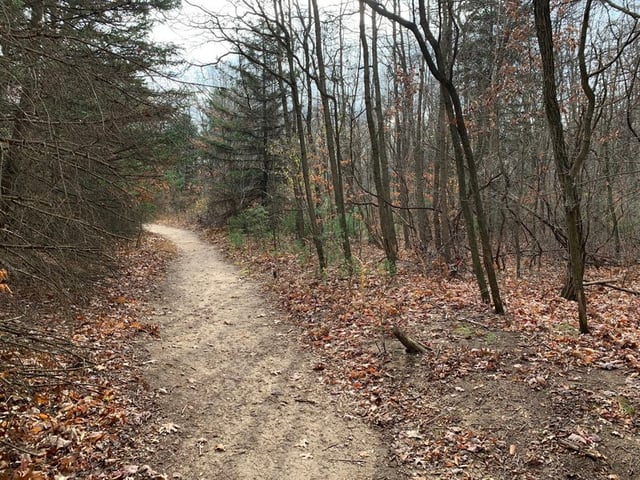 Fairview Nature Park8