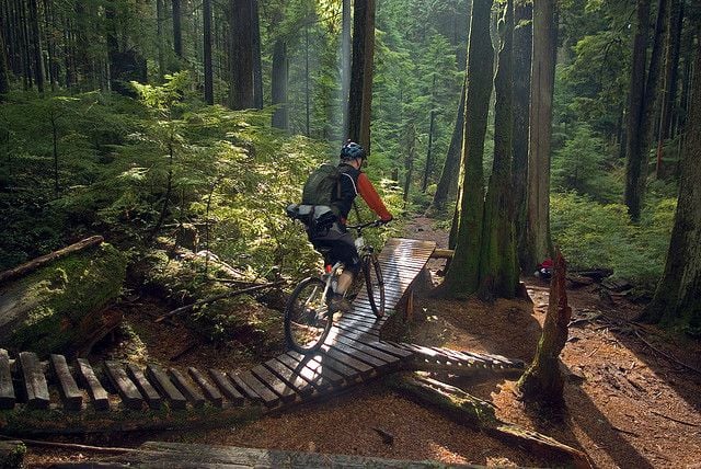 North Shore Trail 4