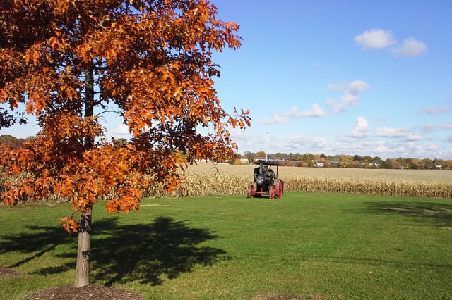 Mokena Community Park District 5