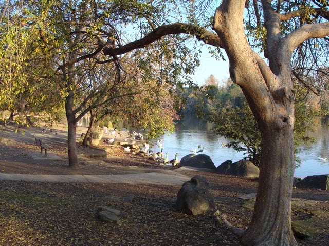 Woodward Park 1 (1)