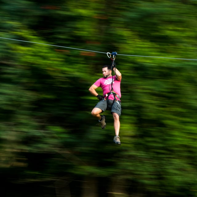 Go Ape Treetop Adventure Course8