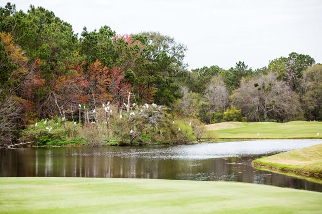 Old Tabby Links on Spring Island6