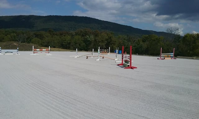 Virtue Stables6