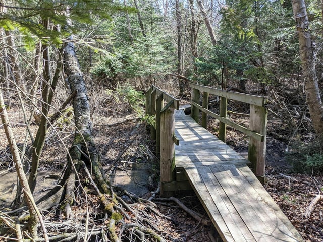 Trapp Farm Nature Preserve 2