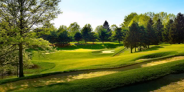 raymond c firestone golfing.jpeg